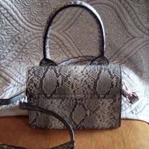 lady small skin snake skin purse